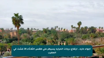 أجواء حارة.. ارتفاع درجات الحرارة يسيطر على طقس الثلاثاء 26 غشت في المغرب